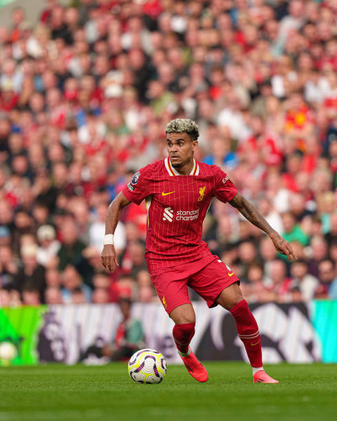 惊叹的组织 惊叹的组织