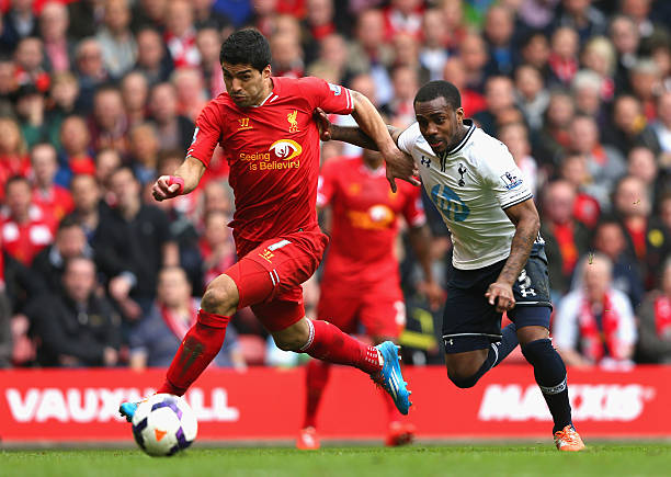 成长奠定了 成长奠定了